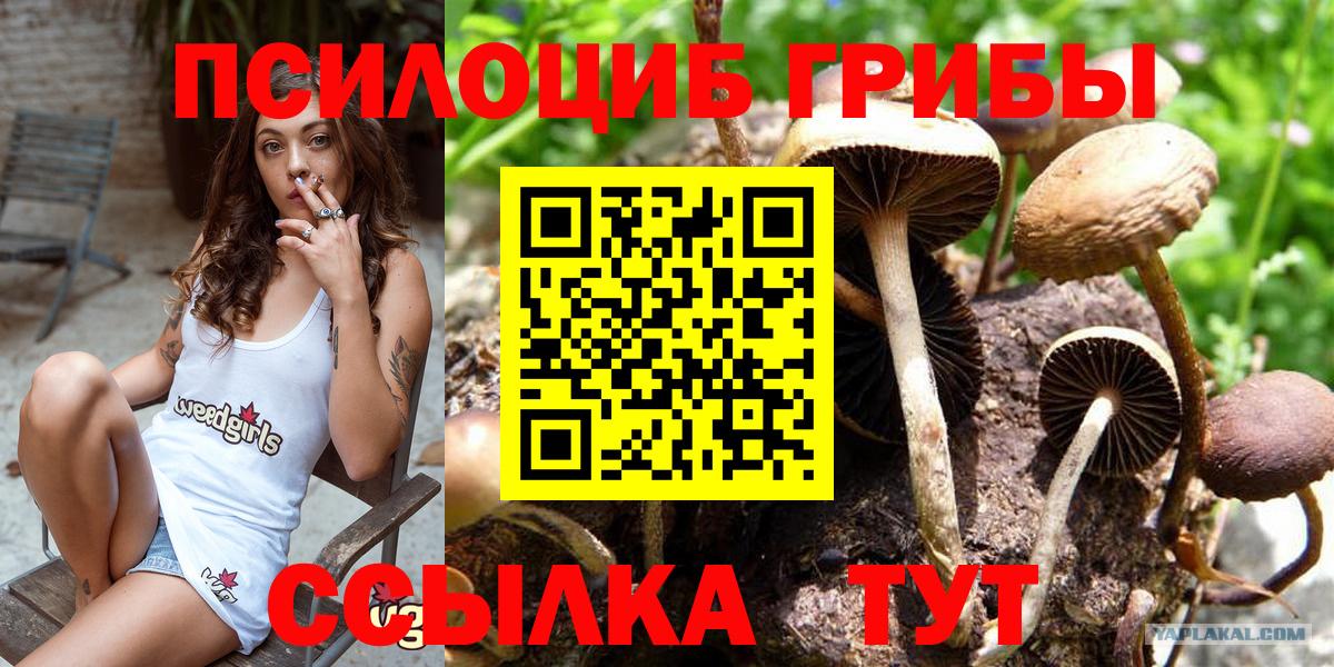 Галлюциногенные грибы MAGIC MUSHROOMS Элиста