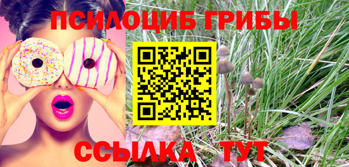 Элиста  Галлюциногенные грибы прущие грибы  Вход с VPN 